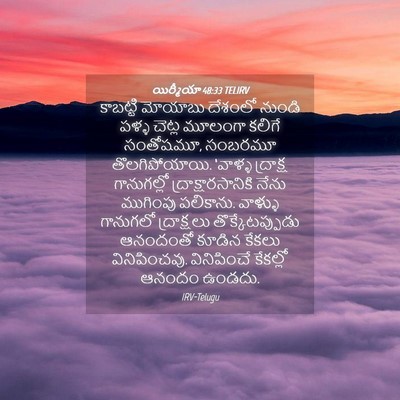Picture 04 - యిర్మీయా 48:33 TELIRV - కాబట్టి మోయాబు - Bible Verse Picture