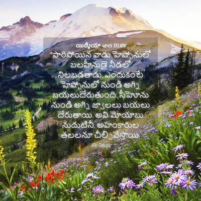 Picture 04 - యిర్మీయా 48:45 TELIRV - “పారిపోయిన వాడు - Bible Verse Picture
