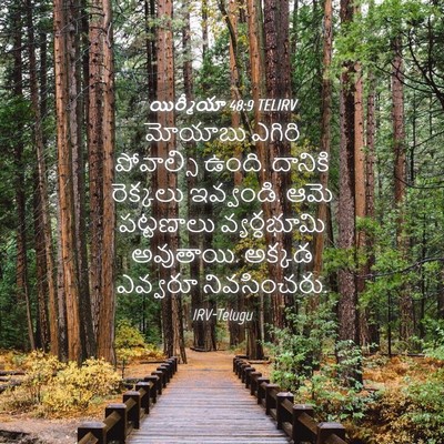 Picture 04 - యిర్మీయా 48:9 TELIRV - మోయాబు ఎగిరి - Bible Verse Picture