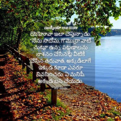 Picture 04 - యిర్మీయా 49:18 TELIRV - యెహోవా ఇలా - Bible Verse Picture