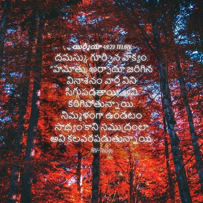 Picture 04 - యిర్మీయా 49:23 TELIRV - దమస్కు గూర్చిన - Bible Verse Picture