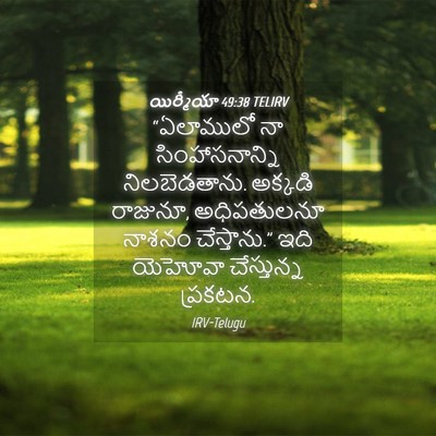 Picture 04 - యిర్మీయా 49:38 TELIRV - “ఏలాములో నా - Bible Verse Picture