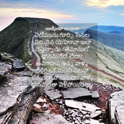 Picture 04 - యిర్మీయా 49:7 TELIRV - ఏదోమును గూర్చి - Bible Verse Picture