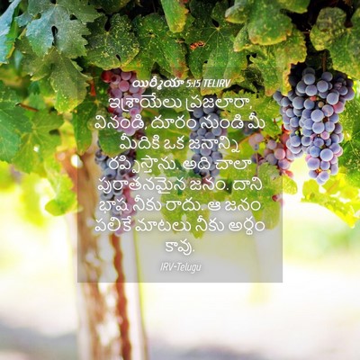 Picture 04 - యిర్మీయా 5:15 TELIRV - ఇశ్రాయేలు - Bible Verse Picture