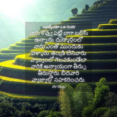 Picture 04 - యిర్మీయా 5:28 TELIRV - వారు కొవ్వు పట్టి - Bible Verse Picture