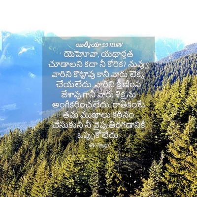 Picture 04 - యిర్మీయా 5:3 TELIRV - యెహోవా, యథార్థత - Bible Verse Picture