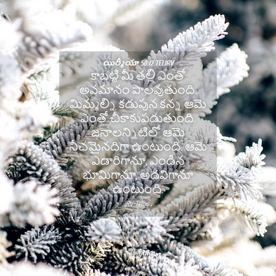 Picture 04 - యిర్మీయా 50:12 TELIRV - కాబట్టి మీ తల్లి - Bible Verse Picture
