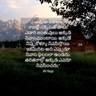 Picture 04 - యిర్మీయా 50:39 TELIRV - కాబట్టి నక్కలతో - Bible Verse Picture