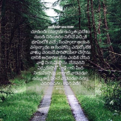 Picture 04 - యిర్మీయా 50:44 TELIRV - చూడండి! యొర్దాను - Bible Verse Picture