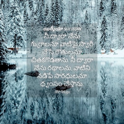 Picture 04 - యిర్మీయా 51:21 TELIRV - నీ ద్వారా నేను - Bible Verse Picture