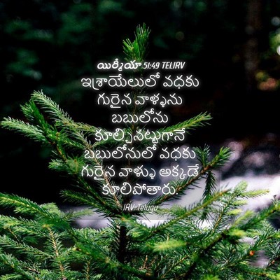 Picture 04 - యిర్మీయా 51:49 TELIRV - ఇశ్రాయేలులో వధకు - Bible Verse Picture