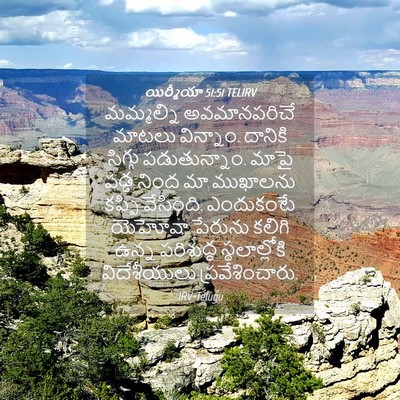 Picture 04 - యిర్మీయా 51:51 TELIRV - మమ్మల్ని - Bible Verse Picture