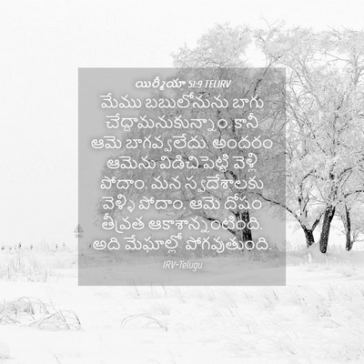 Picture 04 - యిర్మీయా 51:9 TELIRV - మేము బబులోనును - Bible Verse Picture