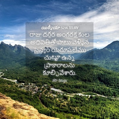 Picture 04 - యిర్మీయా 52:14 TELIRV - రాజు దగ్గర - Bible Verse Picture