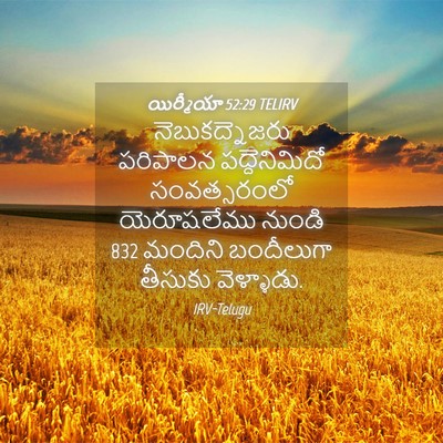 Picture 04 - యిర్మీయా 52:29 TELIRV - నెబుకద్నెజరు - Bible Verse Picture