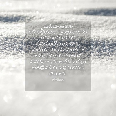 Picture 04 - యిర్మీయా 52:8 TELIRV - కానీ కల్దీయుల - Bible Verse Picture