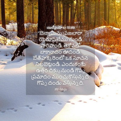 Picture 04 - యిర్మీయా 6:1 TELIRV - “బెన్యామీను - Bible Verse Picture