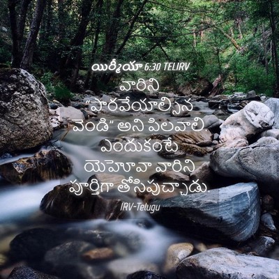 Picture 04 - యిర్మీయా 6:30 TELIRV - వారిని - Bible Verse Picture
