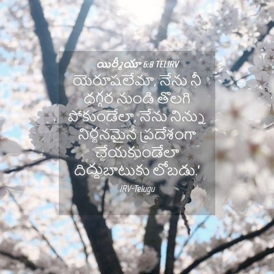 Picture 04 - యిర్మీయా 6:8 TELIRV - యెరూషలేమా, నేను నీ - Bible Verse Picture