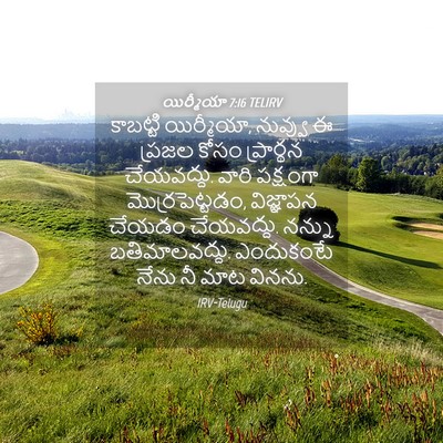 Picture 04 - యిర్మీయా 7:16 TELIRV - కాబట్టి యిర్మీయా, - Bible Verse Picture