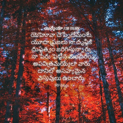 Picture 04 - యిర్మీయా 7:30 TELIRV - యెహోవా - Bible Verse Picture