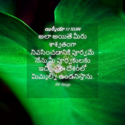 Picture 04 - యిర్మీయా 7:7 TELIRV - అలా అయితే మీరు - Bible Verse Picture