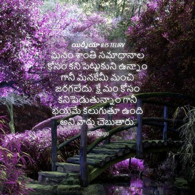 Picture 04 - యిర్మీయా 8:15 TELIRV - మనం శాంతి - Bible Verse Picture