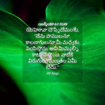 Picture 04 - యిర్మీయా 8:17 TELIRV - యెహోవా - Bible Verse Picture
