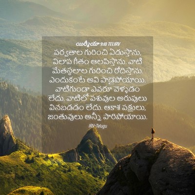 Picture 04 - యిర్మీయా 9:10 TELIRV - పర్వతాల గురించి - Bible Verse Picture