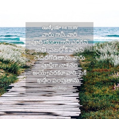 Picture 04 - యిర్మీయా 9:16 TELIRV - వారు గానీ, వారి - Bible Verse Picture