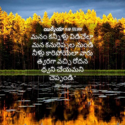 Picture 04 - యిర్మీయా 9:18 TELIRV - మనం కన్నీళ్లు - Bible Verse Picture
