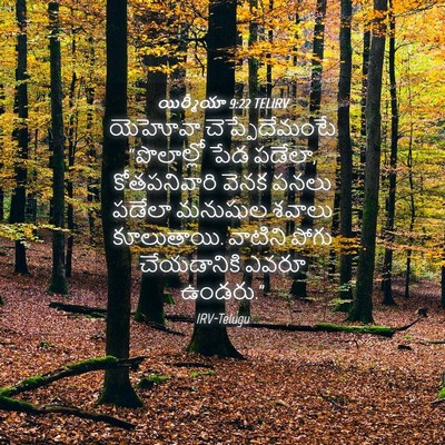 Picture 04 - యిర్మీయా 9:22 TELIRV - యెహోవా - Bible Verse Picture