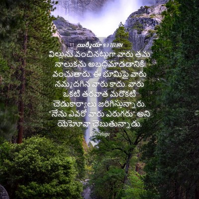 Picture 04 - యిర్మీయా 9:3 TELIRV - విల్లును - Bible Verse Picture