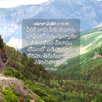 Picture 04 - యూదా పత్రిక 1:11 TELIRV - వీరికి బాధ! వీరు - Bible Verse Picture