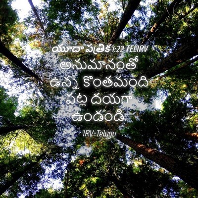 Picture 04 - యూదా పత్రిక 1:22 TELIRV - అనుమానంతో ఉన్న - Bible Verse Picture