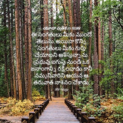 Picture 04 - యూదా పత్రిక 1:5 TELIRV - ఈ సంగతులు మీకు - Bible Verse Picture
