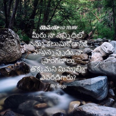 Picture 04 - యెషయా 1:12 TELIRV - మీరు నా సన్నిధిలో - Bible Verse Picture
