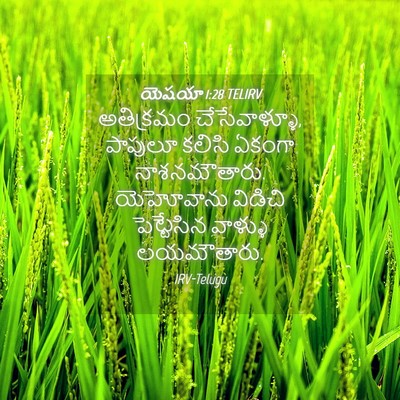 Picture 04 - యెషయా 1:28 TELIRV - అతిక్రమం - Bible Verse Picture