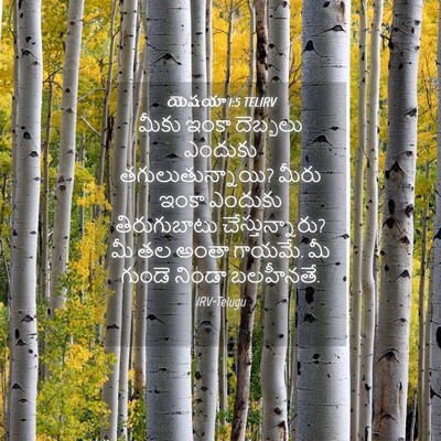 Picture 04 - యెషయా 1:5 TELIRV - మీకు ఇంకా దెబ్బలు - Bible Verse Picture
