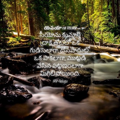 Picture 04 - యెషయా 1:8 TELIRV - సీయోను కుమార్తె - Bible Verse Picture