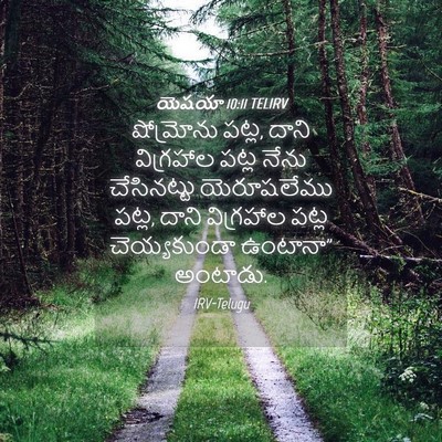 Picture 04 - యెషయా 10:11 TELIRV - షోమ్రోను పట్ల, - Bible Verse Picture