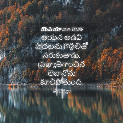 Picture 04 - యెషయా 10:34 TELIRV - ఆయన అడవి పొదలను - Bible Verse Picture