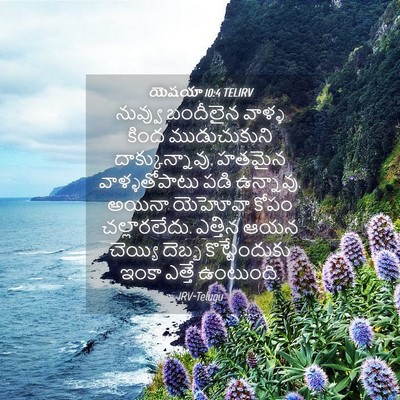 Picture 04 - యెషయా 10:4 TELIRV - నువ్వు బందీలైన - Bible Verse Picture