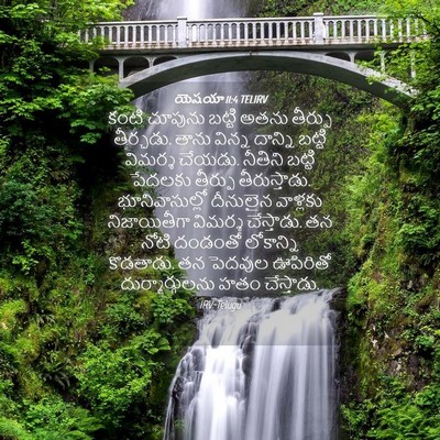 Picture 04 - యెషయా 11:4 TELIRV - కంటి చూపును బట్టి - Bible Verse Picture