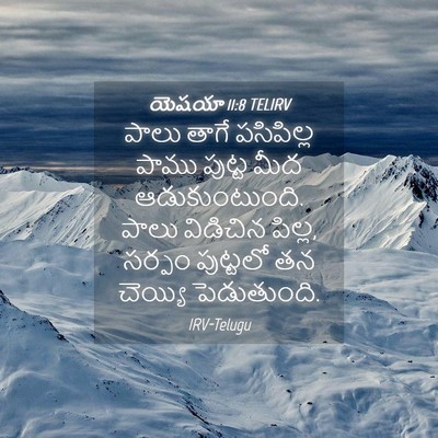 Picture 04 - యెషయా 11:8 TELIRV - పాలు తాగే - Bible Verse Picture