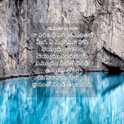 Picture 04 - యెషయా 11:9 TELIRV - నా పరిశుద్ధ - Bible Verse Picture