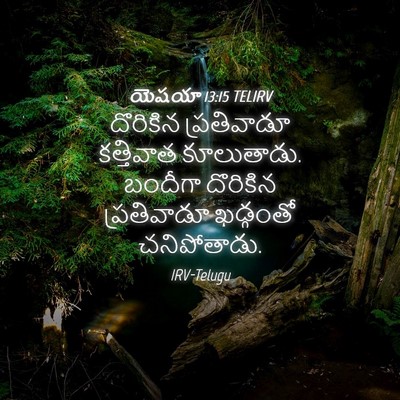 Picture 04 - యెషయా 13:15 TELIRV - దొరికిన ప్రతివాడూ - Bible Verse Picture