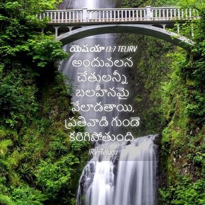 Picture 04 - యెషయా 13:7 TELIRV - అందువలన చేతులన్నీ - Bible Verse Picture