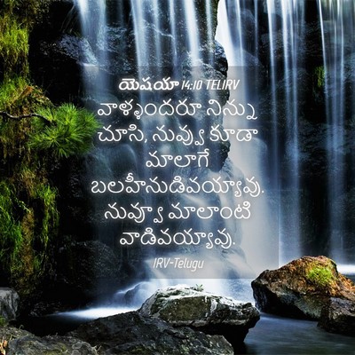 Picture 04 - యెషయా 14:10 TELIRV - వాళ్ళందరూ నిన్ను - Bible Verse Picture