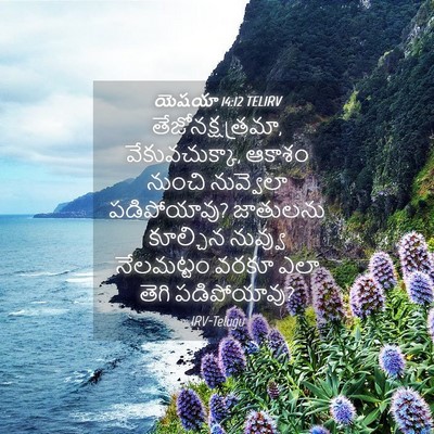 Picture 04 - యెషయా 14:12 TELIRV - తేజోనక్షత్రమా, - Bible Verse Picture